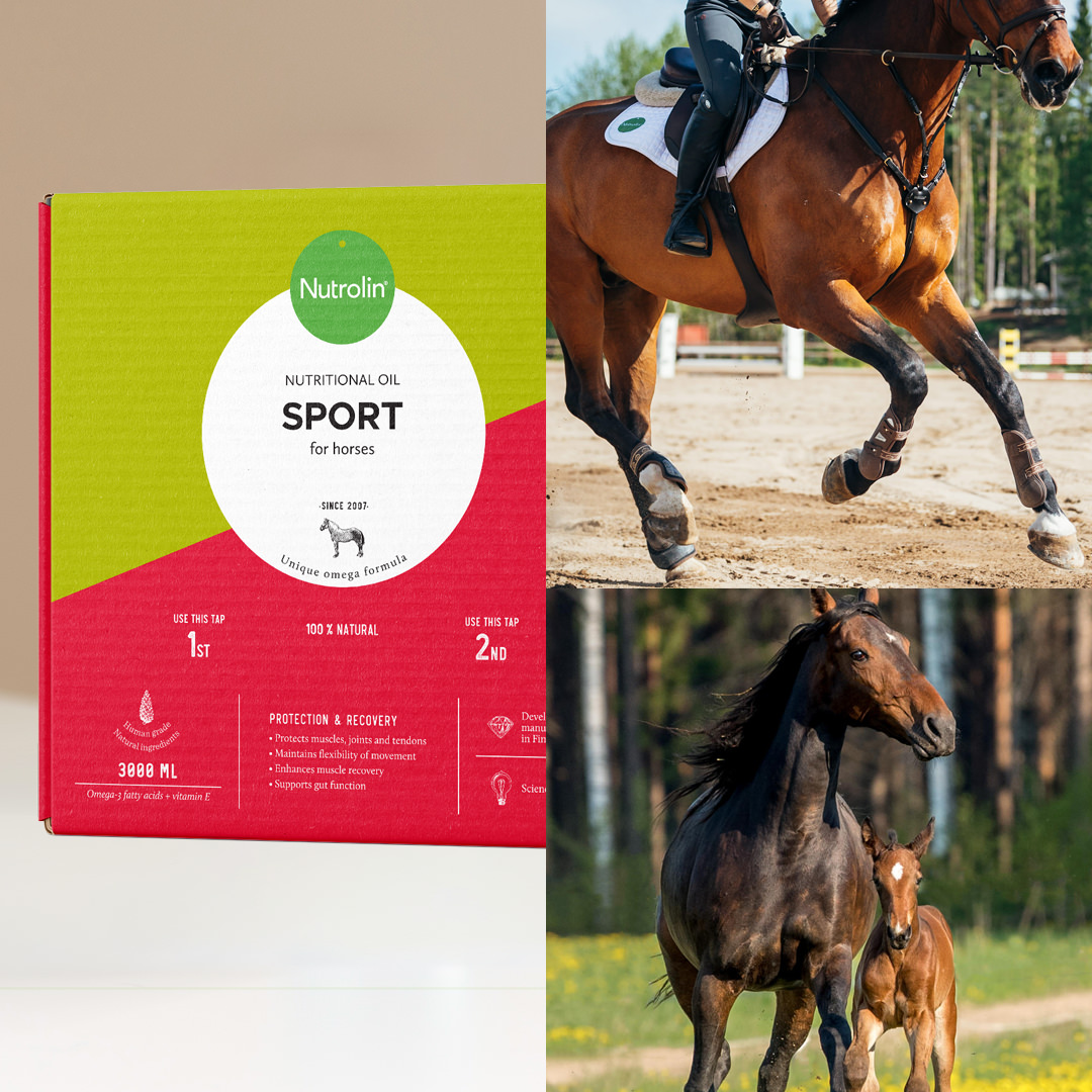 Nutrolin® HORSE Sport - Image 4