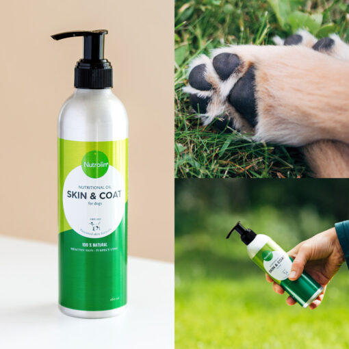 Nutrolin® Skin & Coat – Bild 7