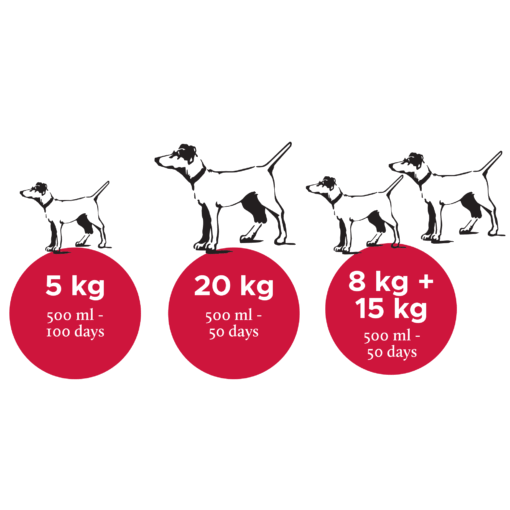Nutrolin_dog_Sport_EN
