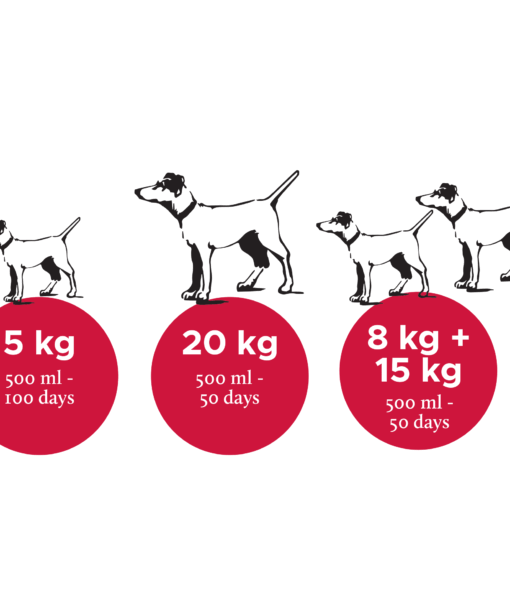 Nutrolin_dog_Sport_EN