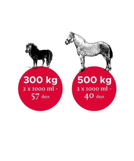 Nutrolin_horse_Sport_EN