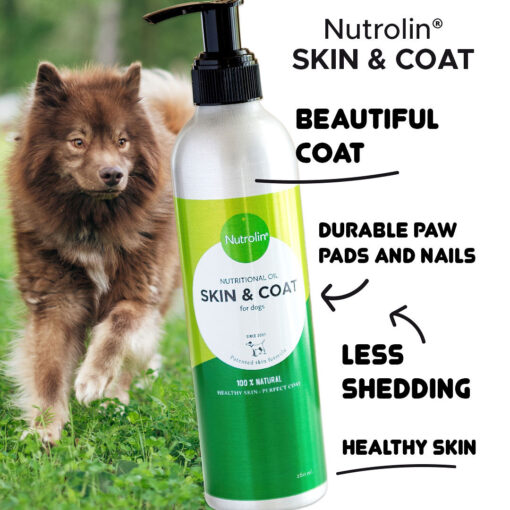 Nutrolin® SKIN & COAT reduces your dog's shedding and gives your dog a healthy skin and durable paw pads.