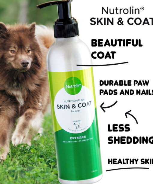 Nutrolin® SKIN & COAT reduces your dog's shedding and gives your dog a healthy skin and durable paw pads.