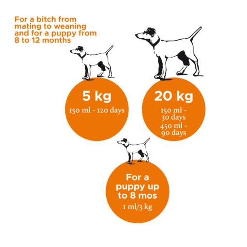 Riitto_Nutrolin_PuppyMom2_EN