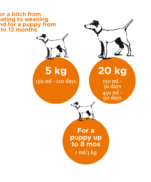 Riitto_Nutrolin_PuppyMom2_EN