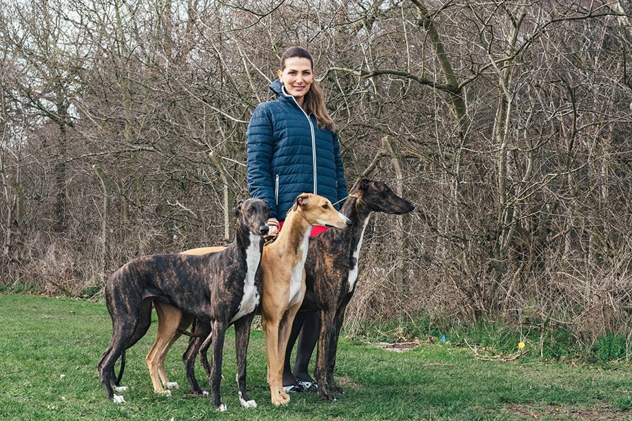 Powered_by_Nutrolin_Inas_fashion_greyhound6