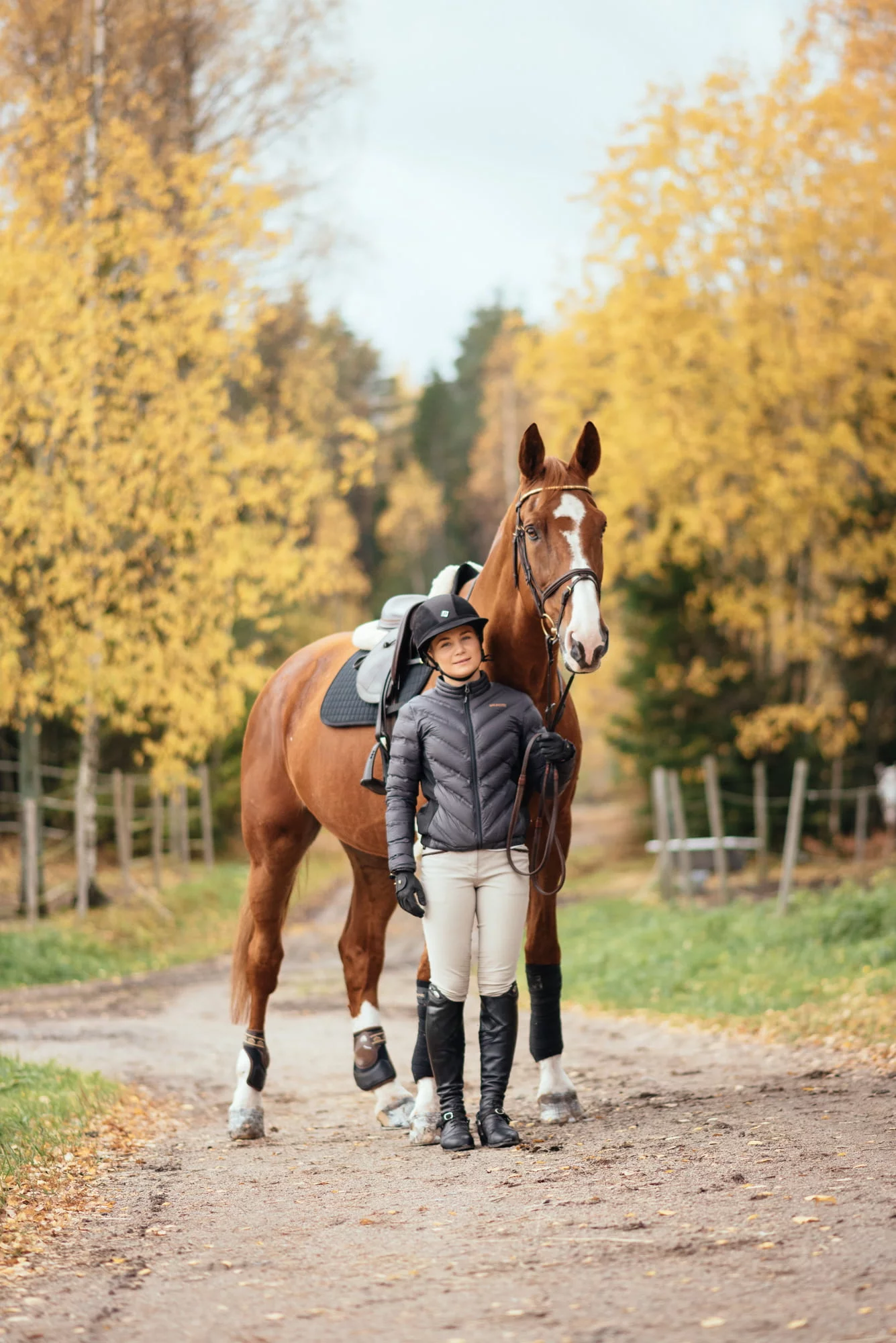 Nutrolin_horse_skin_problems3