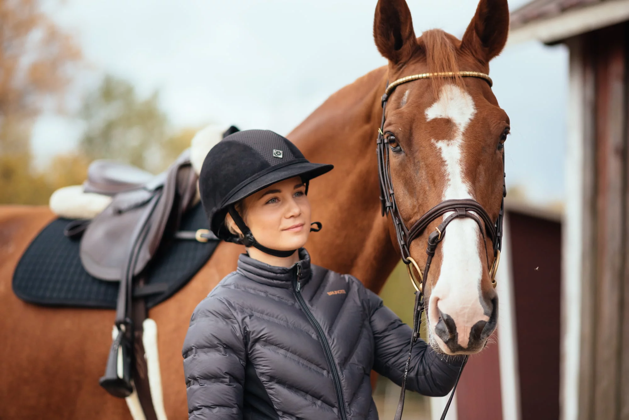 Nutrolin_horse_skin_problems4
