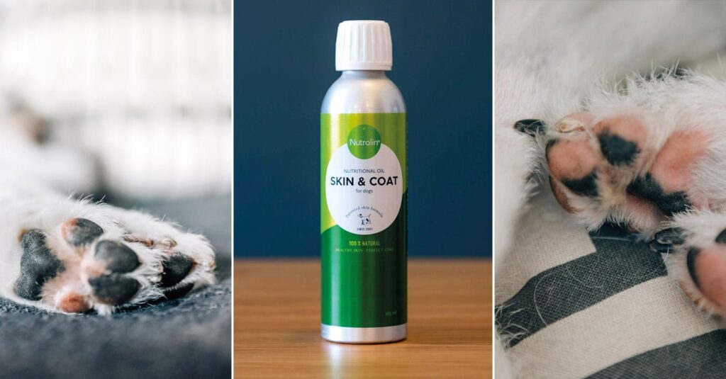 Nutrolin_Skin_Coat_paws