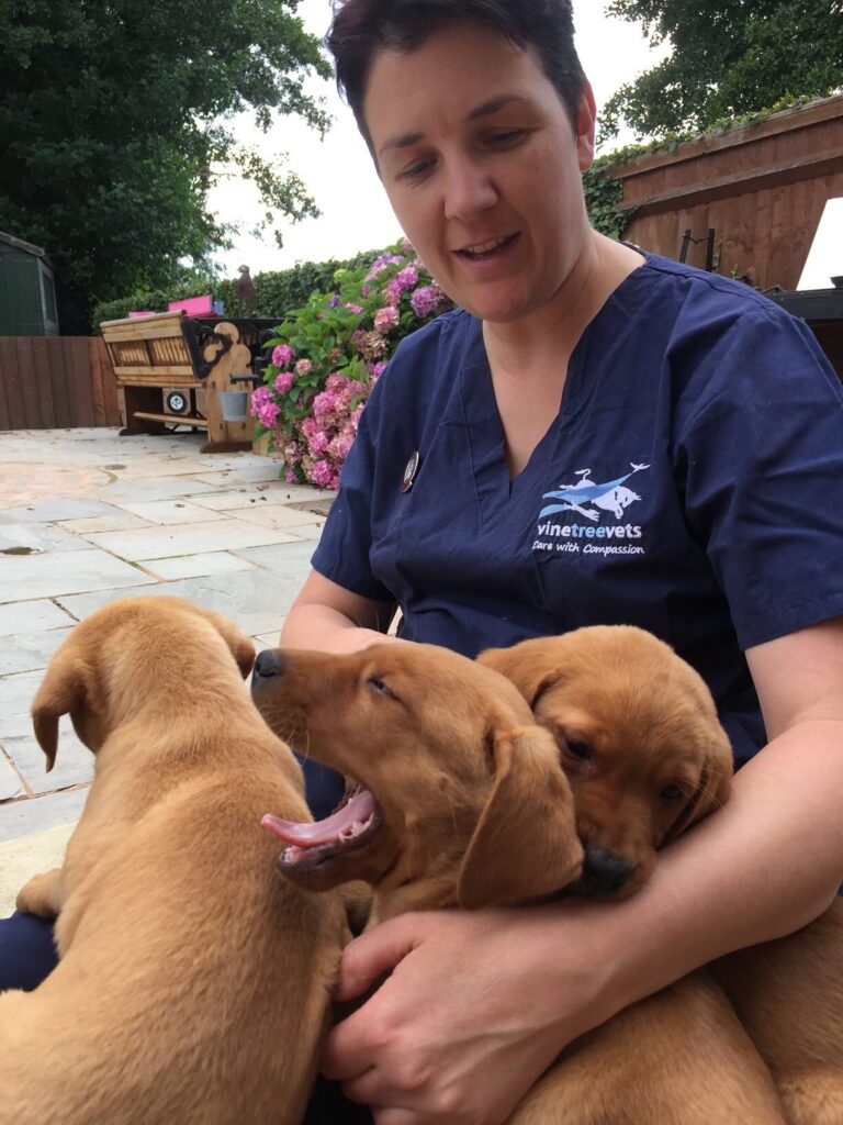 An animal lover, a veterinary nurse and a breeder Ali Leake