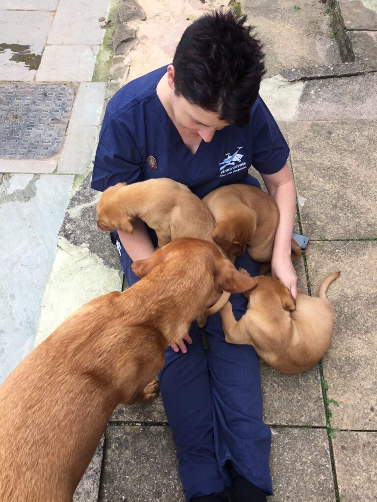 An animal lover, a veterinary nurse and a breeder Ali Leake