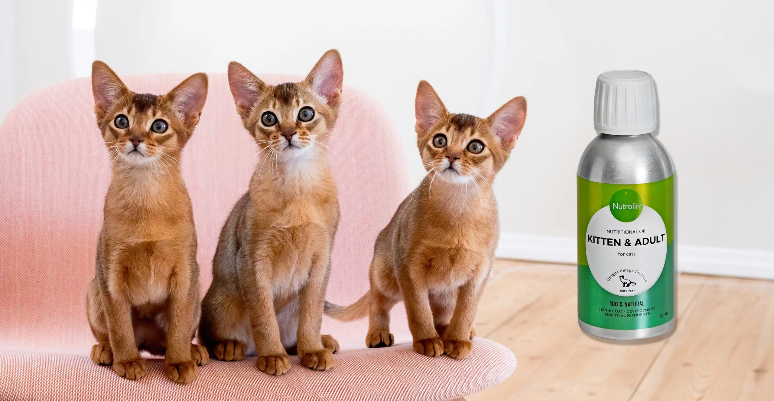 Nutrolin® Kitten Adult