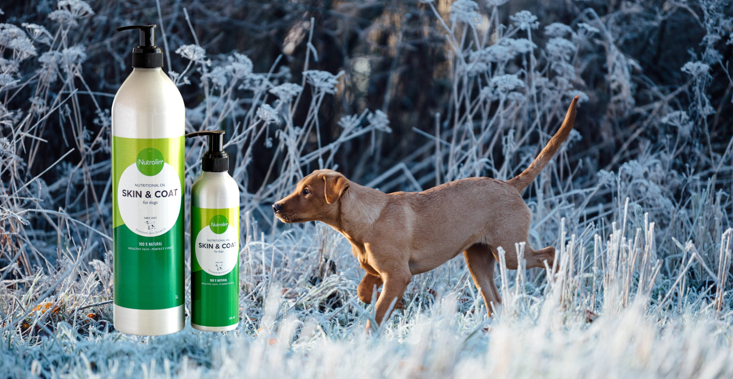 Nutrolin® SKIN & COAT