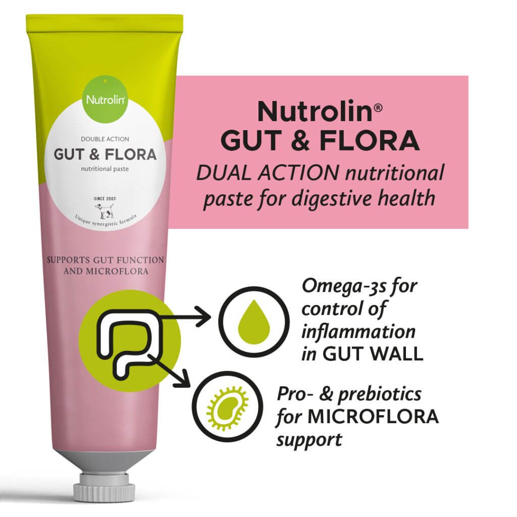 Nutrolin® GUT & FLORA oleogel