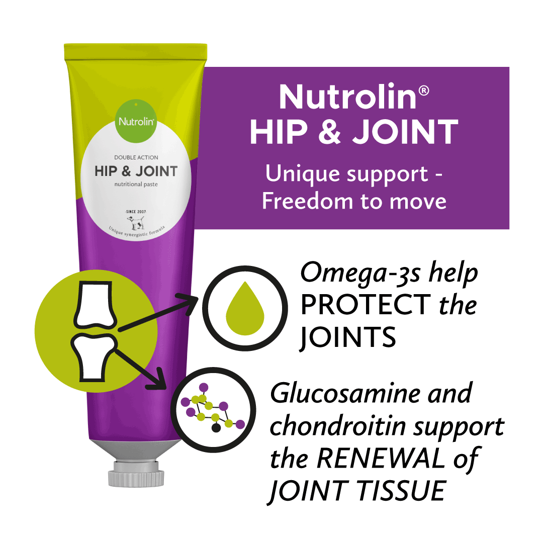 Nutrolin® HIP & JOINT paste - Image 4