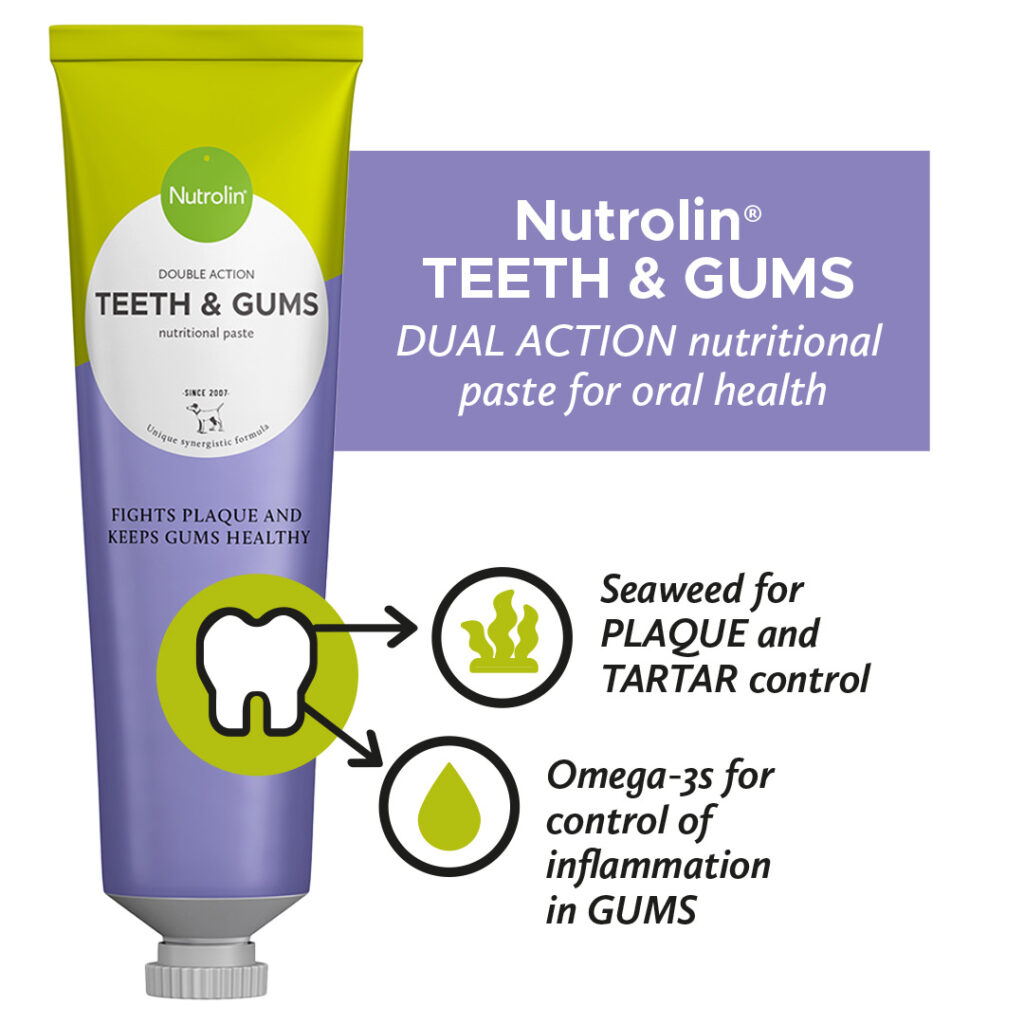 Nutrolin® TEETH & GUMS oleogel