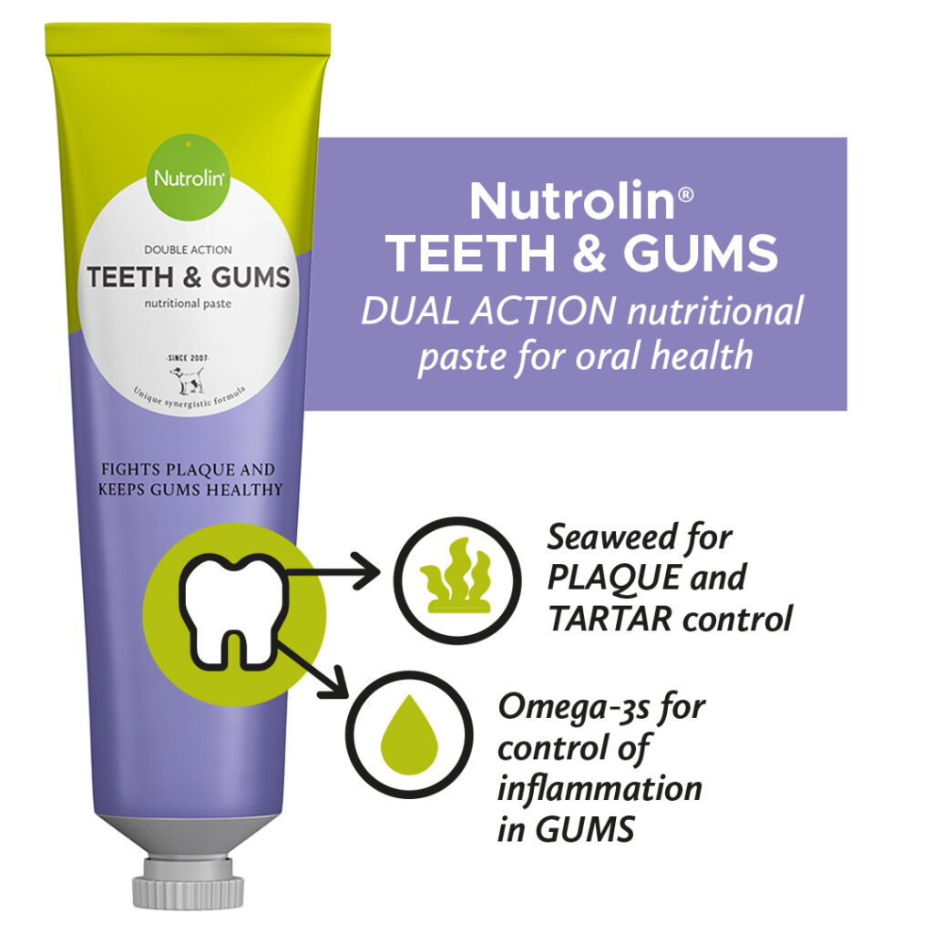Nutrolin® TEETH & GUMS oleogel