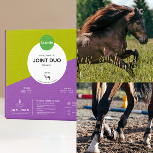 Nutrolin® HORSE Joint Duo - Image 4