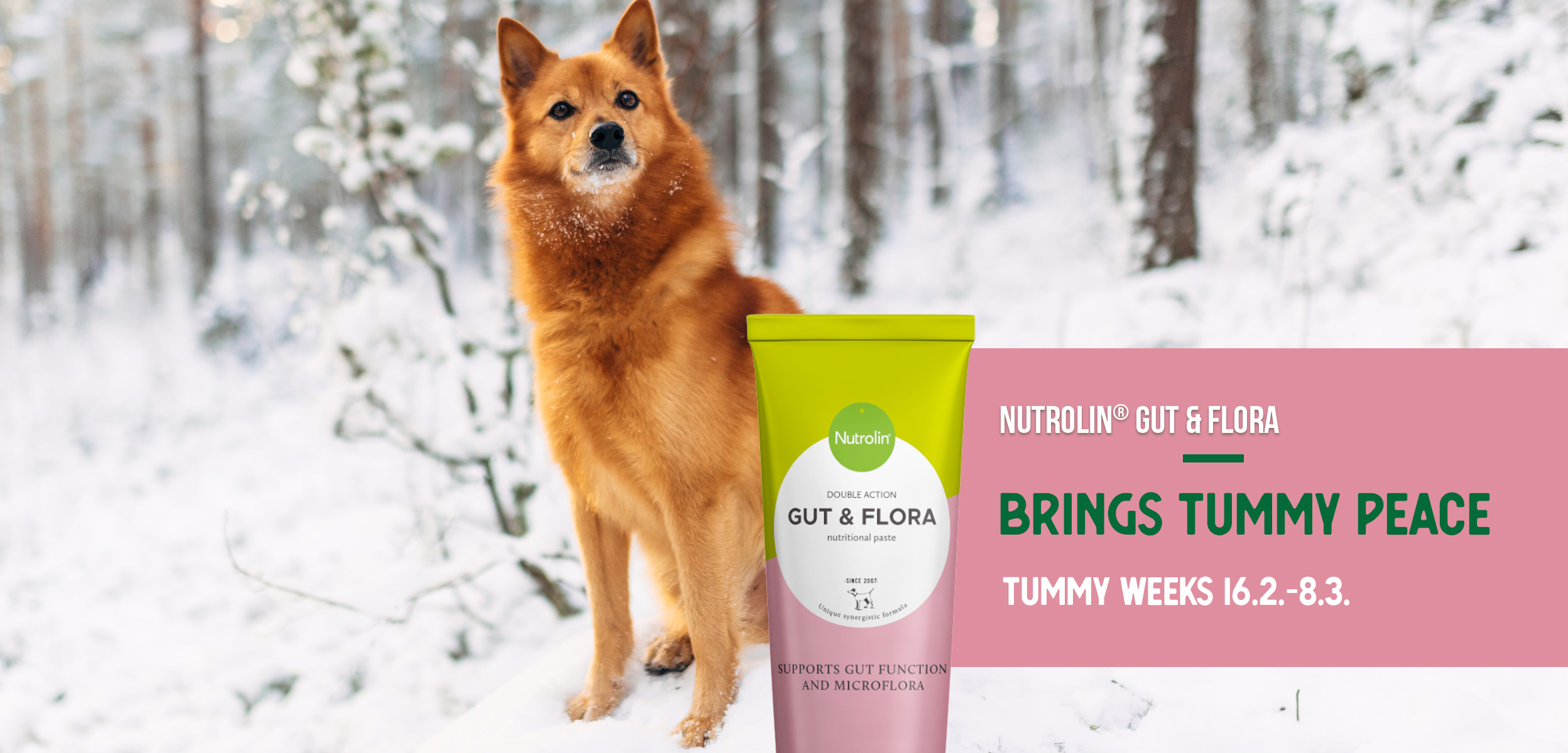 Nutrolin® tummy weeks Nutrolin Gut Flora