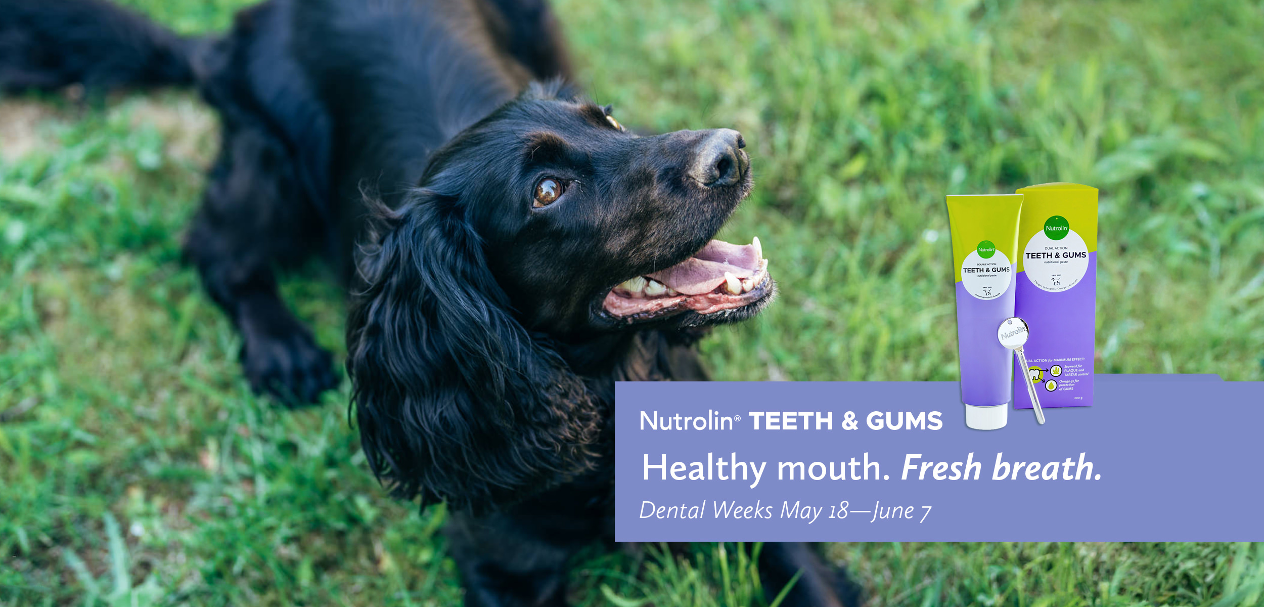 Nutrolin® Dental weeks 2026