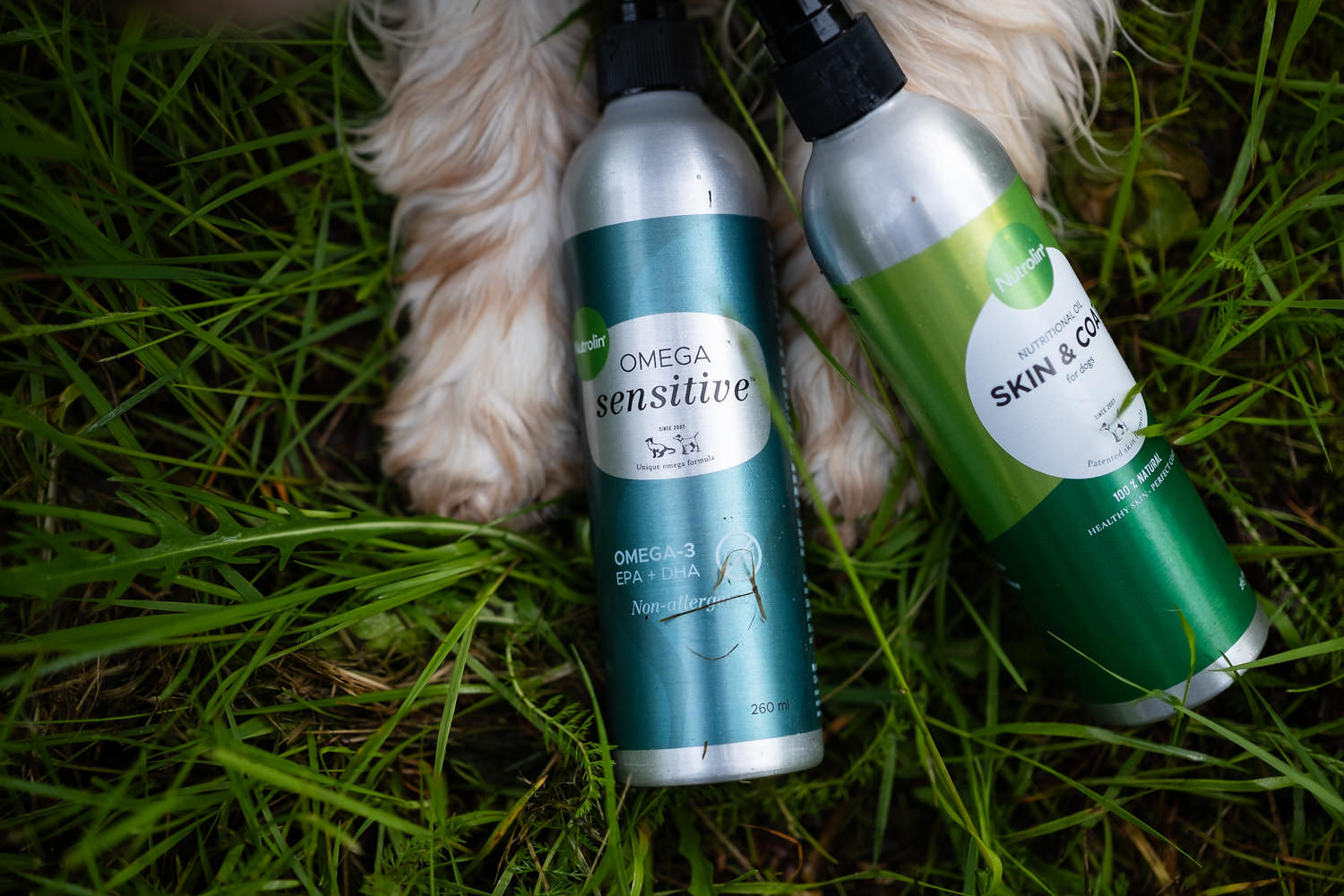 Support your dog’s well-being from the inside out. Choose our popular duo: Nutrolin® OMEGA SENSITIVE® and Nutrolin® SKIN & COAT.