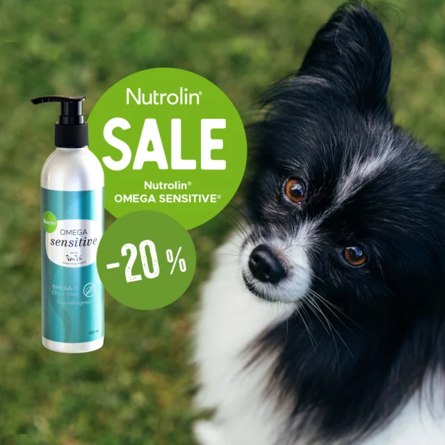 Why do you give your dog fish oil? Because I want my dog to feel great! 😘🐶We all know that high-quality fish oil supports wellbeing. It protects joints, the heart, and the brain – and in puppies, it also helps with brain and sensory development.Choose Nutrolin® OMEGA SENSITIVE®, the new fish-free fish oil, to support your dog’s daily health.Nutrolin® OMEGA SENSITIVE® is made from microalgae. It provides the same omega-3 EPA and DHA as premium fish oil – and four times more than salmon oil. 🌊A quick reminder! 💡 Fish oil isn’t the answer for skin and coat health.For that, go with Nutrolin® SKIN & COAT. This trusted plant-based oil works like a nourishing paw balm from the inside – and gives the coat the breed-specific shine it deserves.Pro tip: Add the oils to your dog’s bowl at different times of the day to get the full benefit.Both products are safe for dogs with fish allergies.Try the power of microalgae oil. Order Nutrolin® OMEGA SENSITIVE with 20% off in our online store from June 4 to June 11, 2025.#nutrolin #nutrolinlife