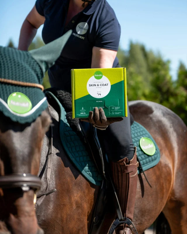 The strongest support for coat change is Nutrolin® HORSE Skin & Coat, designed to meet the specific omega needs of skin and coat. It also contains a generous dose of natural vitamin E.A real multi-action powerhouse! 💥This unique, patented nutritional oil is rich in essential fatty acids.Horses especially need linoleic acid, an omega-6 fatty acid, to maintain the skin’s natural protective barrier. When this barrier is compromised, the skin can dry out, making it more prone to issues – and the coat quality suffers.Buy from your nearest retailer or order directly from the Nutrolin® online shop.#nutrolinlife #horsehealth #fattyacids #hevoset #ratsastus #talli