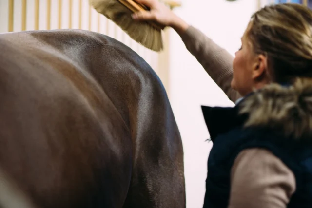 Did your horse’s clipped coat reveal flaky skin last winter? It’s time to add skin-targeted fatty acids to their diet—results you can actually see in just a few weeks!Nutrolin® HORSE Skin & Coat omega supplement is an “internal moisturizer” specially developed for horses: it helps reduce dry skin symptoms, itching, and flaking.With winter 🥶 and dry air just around the corner, it’s a perfect reminder to start Nutrolin® HORSE Skin & Coat, especially for horses that suffer from flaky, dry skin every winter.💚 Reduces itching and flaking
💚 Supports healing of mud fever and scratches
💚 Lowers the risk of recurring skin inflammations
💚 Improves coat quality and shine⭐️ Visible results in 6–8 weeks ⭐#️️nutrolinlife #horsesofinstagram #horsehealth #horselovers