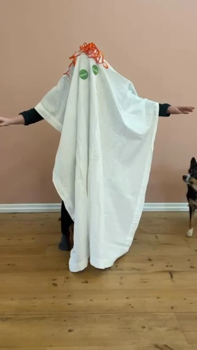 H a p p y  H a l l 🎃 w e e n 👽Want to give your dog’s meal a spooky twist? Nutrolin®️SPORT is bloody red and frighteningly good for active dogs 👻#nutrolinlife