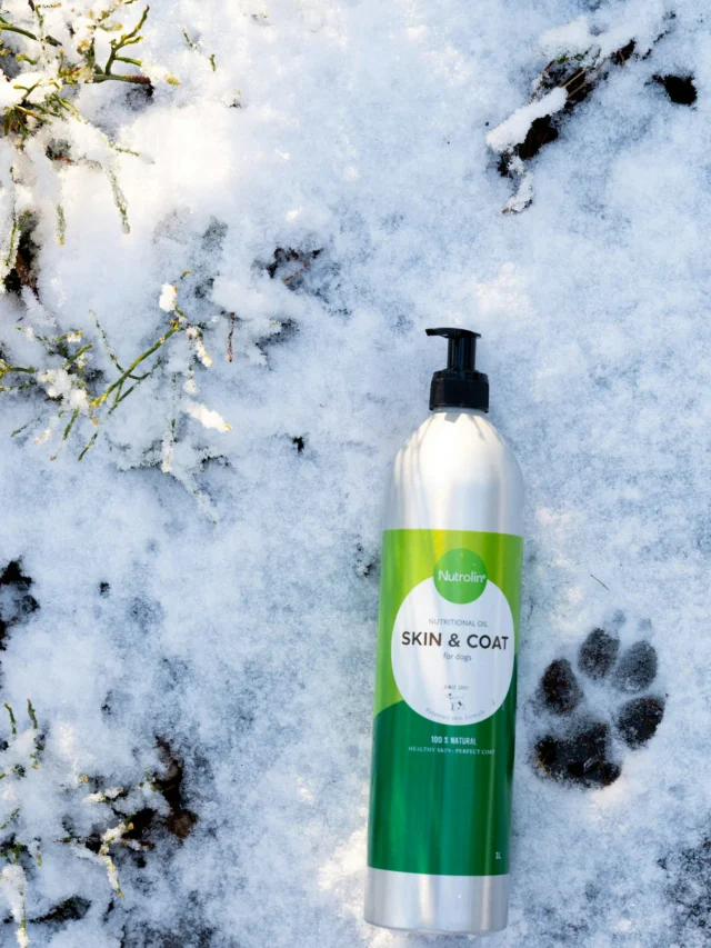 Slush season? SKIN & COAT.
Freezing weather? SKIN & COAT.
Swimming season? SKIN & COAT.
Show season? SKIN & COAT.
Shedding season? SKIN & COAT.Once more. All together.SKIN & COAT 💚
