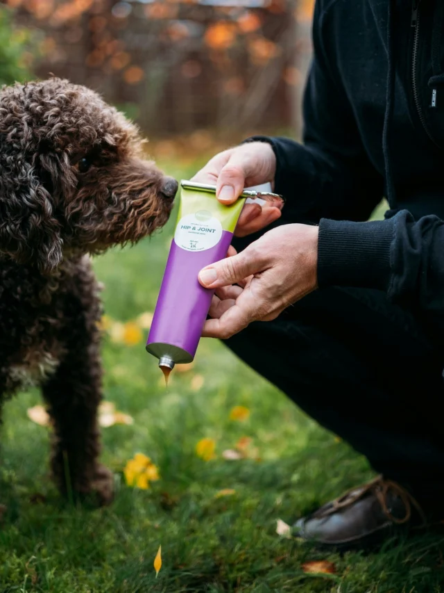 Many know that omega-3 fatty acids from fish oil help with joint issues. But did you know that the amount really matters?Great news! Nutrolin® HIP & JOINT is packed with omegas. 💫For example, a daily dose for a 20 kg dog contains a whopping 1400 mg of omega-3 fatty acids and 1000 mg of joint nutrients — glucosamine and chondroitin sulfate. 😲So how does Nutrolin® HIP & JOINT help your dog?👉🏻 Supports and improves joint mobility
👉🏻 Helps your pet stay active
👉🏻 Delivers double the power for joint healthResults are scientifically proven to show in just 2–6 weeks.
Choose Nutrolin® HIP & JOINT — because amount matters.And did you know? There’s a Nutrolin® solution for horses too! Discover Nutrolin® HORSE Joint Duo and support your horse’s joint health.