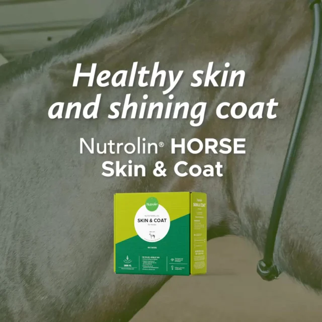 Shine on the coat – wellness for the skin! ✨A horse’s wellbeing is often reflected in the condition of its coat and skin. Many horse owners notice changes in coat quality first — and for a good reason.Take a look at the results Emelie Brolin’s horse Penny achieved after trying Nutrolin® HORSE Skin & Coat.Our Nutrolin® HORSE Skin & Coat contains carefully selected plant oils that complement the horse’s daily diet with high‑quality, essential fatty acids. 💚#horsehealth #nutrolinlife #nutrolinhorse