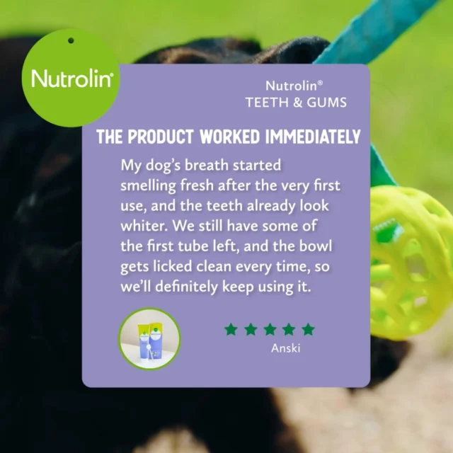 We’re smiling over here! Anski is super happy with Nutrolin® TEETH & GUMS. 💜"My dog’s breath started smelling fresh after the very first use, and the teeth already look whiter. We still have some of the first tube left, and the bowl gets licked clean every time, so we’ll definitely keep using it."✨ For fresh breath, cleaner teeth, and happier moments. Choose Nutrolin® TEETH & GUMS.