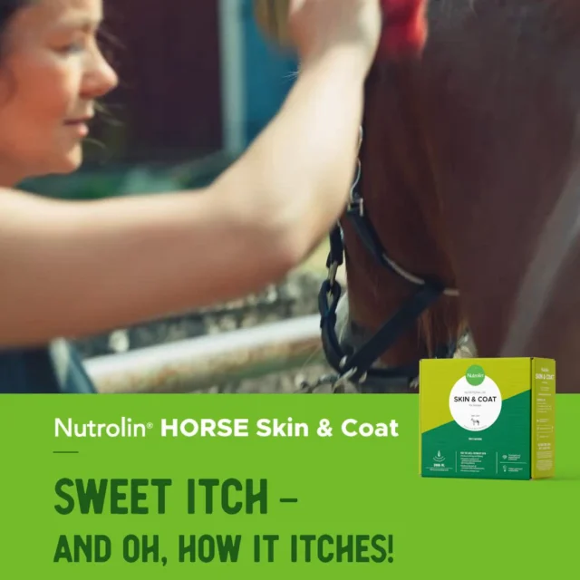 Does thinking about summer bring joy… or misery? 🥵Sweet itch is the most common type of dermatitis in horses, caused by a hypersensitivity to certain midges.And oh boy, does it itch!Without prevention, the itching can become uncontrollable, and in the worst cases a horse may scratch itself raw. And it’s not any easier for the owner, who has to watch their horse suffer. 😭Maintaining the skin’s moisture balance is essential in managing sweet itch. When the skin is supple and elastic, it can better withstand external irritants.Nutrolin® HORSE Skin & Coat is a patented, tasty plant oil blend that strengthens the skin and helps prevent endless rubbing. 💚PS. There’s also a little bonus. When the skin gets stronger, shedding becomes easier too. 🏆🔸 Wellbeing for horses! – During Horse Weeks, April 8–26, we’re sharing information about equine health and fatty acids. You’ll also get the chance to explore the Nutrolin® HORSE products.