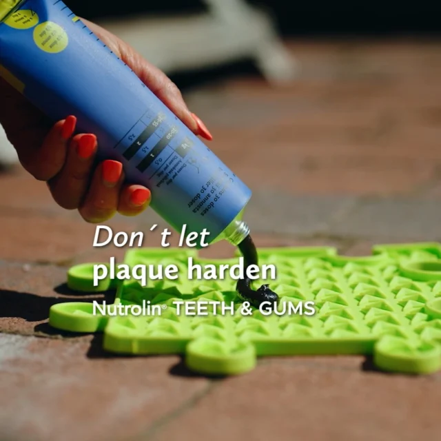 Tartar doesn’t form overnight – and it doesn’t disappear in a day. ☝🏻The buildup of tartar varies from dog to dog.
Some dogs keep clean mouths well into their senior years, while others struggle with tartar from a young age.If hardened plaque has already turned into tartar in your dog’s mouth, it’s time to make a plan.Tartar irritates the gums and fuels inflammation.
It’s also the most common cause of gum disease and bad breath. 🤢Tartar is always removed by a veterinarian – under anesthesia, safely and pain‑free.But before and after the vet visit, you can make a real difference through prevention.Nutrolin® TEETH & GUMS supports your dog’s oral health:✅ Helps reduce plaque buildup
✅ Supports gum wellbeing
✅ Makes dental care easierDon’t let plaque harden. Choose Nutrolin® TEETH & GUMS. 🤝Dental Weeks May 18—June 7 – Healthy mouth. Fresh breath. During these weeks, we'll share information and tips to support your pet's dental health.#NutrolinLife #NutrolinTeethGums