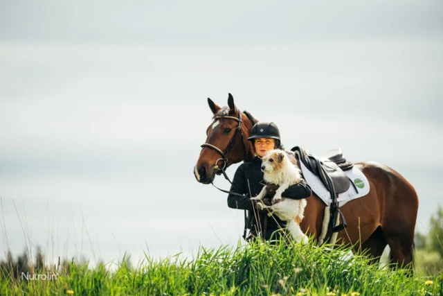 Stable dogs are super hardworking – their paws rack up thousands of steps during the day!Not all furry friends in the stable are exactly sporty dogs, though. Could fish oil–free Nutrolin® OMEGA SENSITIVE® be the right choice for them?Nutrolin® OMEGA SENSITIVE® speeds up muscle recovery, supports joints, and keeps the senses sharp!