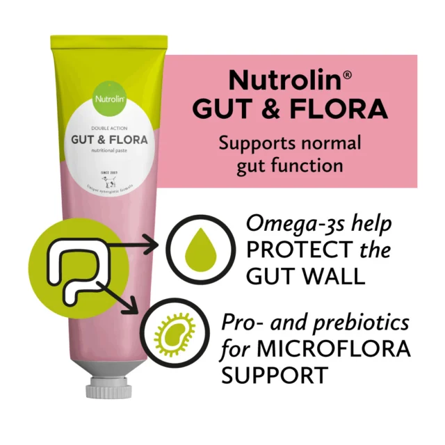 Autumn can bring stomach troubles. Damp conditions, spoiled berries and fruits, or even a return to everyday routines can irritate the gut. 😰Straighten out those tummy troubles with Nutrolin® GUT & FLORA paste. This tasty paste is a go-to gut support for dog lovers. 💚The paste contains lactic acid bacteria (probiotics) and prebiotics that support the gut microbiome. The product’s omega-3 fatty acids help protect the intestinal lining. 🤝Nutrolin® GUT & FLORA is suitable for continuous or occasional use. 💚