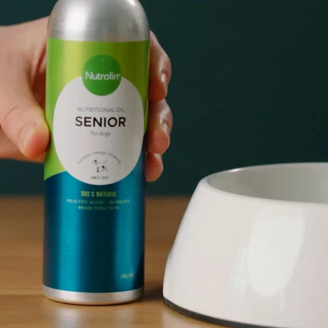 The best for the senior dog 🤩"Nutrolin® SENIOR is a must for keeping my old friend vital and mobile," says Lena. And she's right!How does Nutrolin® SENIOR help your dog?😘 It boosts your senior dog’s energy and mood
🥰 And supports the function of the brain, eyes, heart, and jointsThe first signs of aging are often subtle, so supporting your dog’s body early is a good idea. We recommend Nutrolin® SENIOR oil for all dogs from 8 years of age, and for larger dogs, even earlier.#nutrolinlife #doghealth #nutrolin