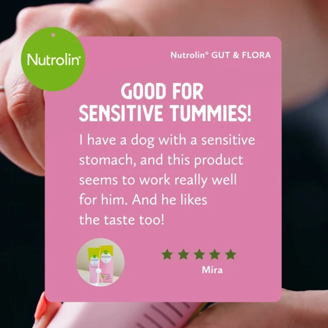 Nutrolin® GUT & FLORA pampers sensitive tummies. 🥰"Good for sensitive tummies! I have a dog with a sensitive stomach, and this product seems to work really well for him. And he likes the taste too!"
– MiraNutrolin® GUT & FLORA paste combines ingredients that uniquely support gut wellbeing: fish oil, probiotics and prebiotics.Why not give it a try today? 🤩